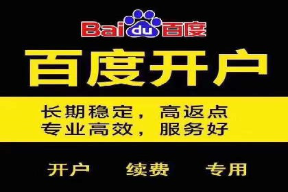 百度竞价案例：如何利用数据优化广告效果